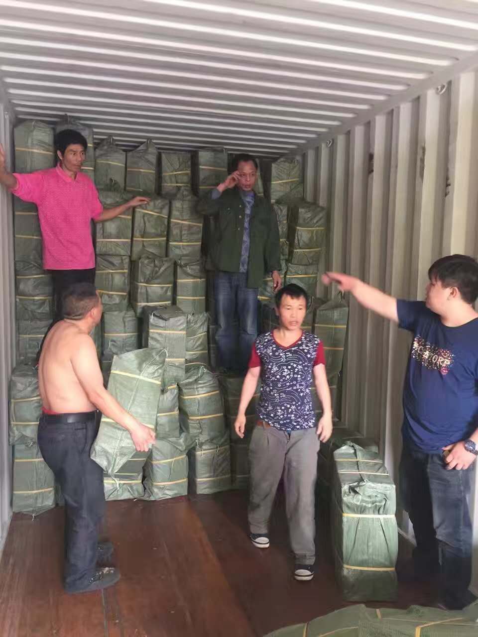 萬向輪